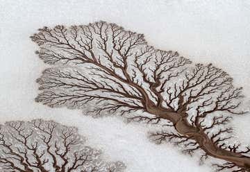 Photo of Fractal Desert Rivers