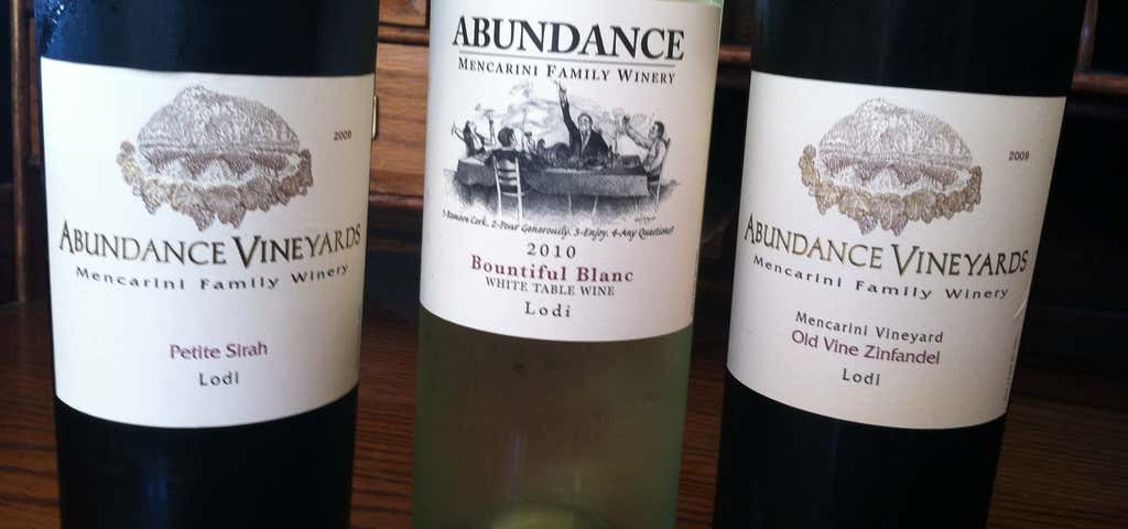 Photo of Abundance Vineyards