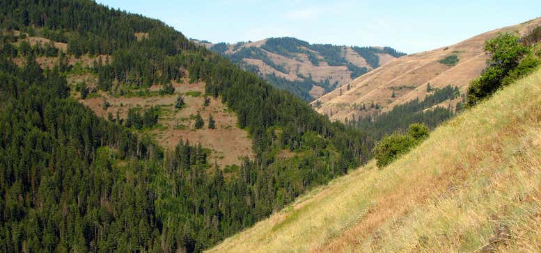 Photo of North Fork Umatilla Wilderness Area