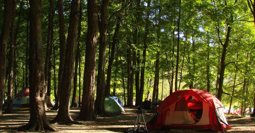 Killens Pond State Park Campground, Harrington | Roadtrippers