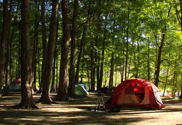Photo of Killens Pond State Park Campground 