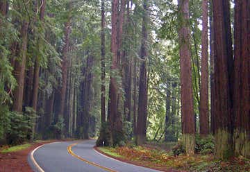 Photo of Navarro River Redwoods State Park