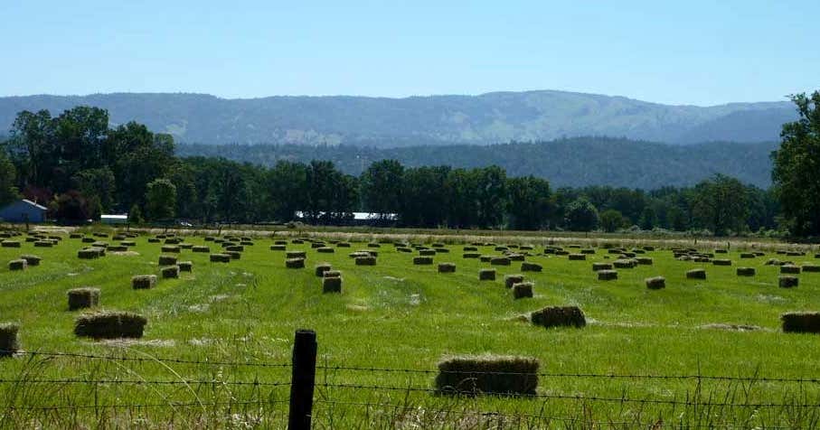 Escape to Little Doe: Your Northern California Campground Adventure