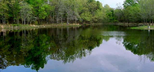 Photo of Lake Bob Sandlin