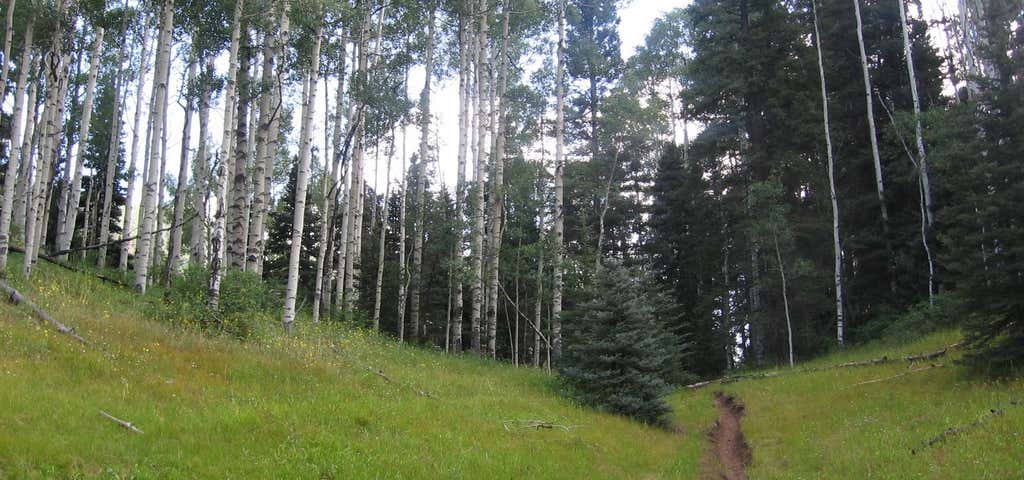 Photo of Warm Springs Falls Trail