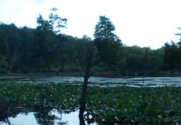 Photo of Pandapas Pond