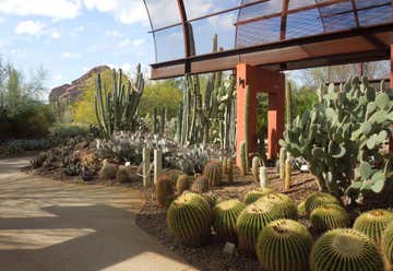 Photo of Desert Botanical Garden