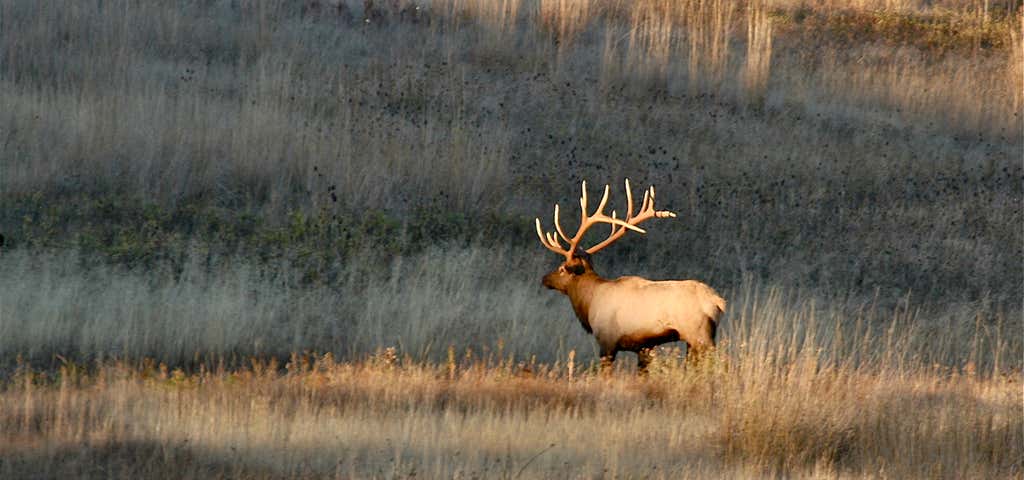 Escape to Nature's Playground: Your Guide to Union County State Fish & Wildlife Area