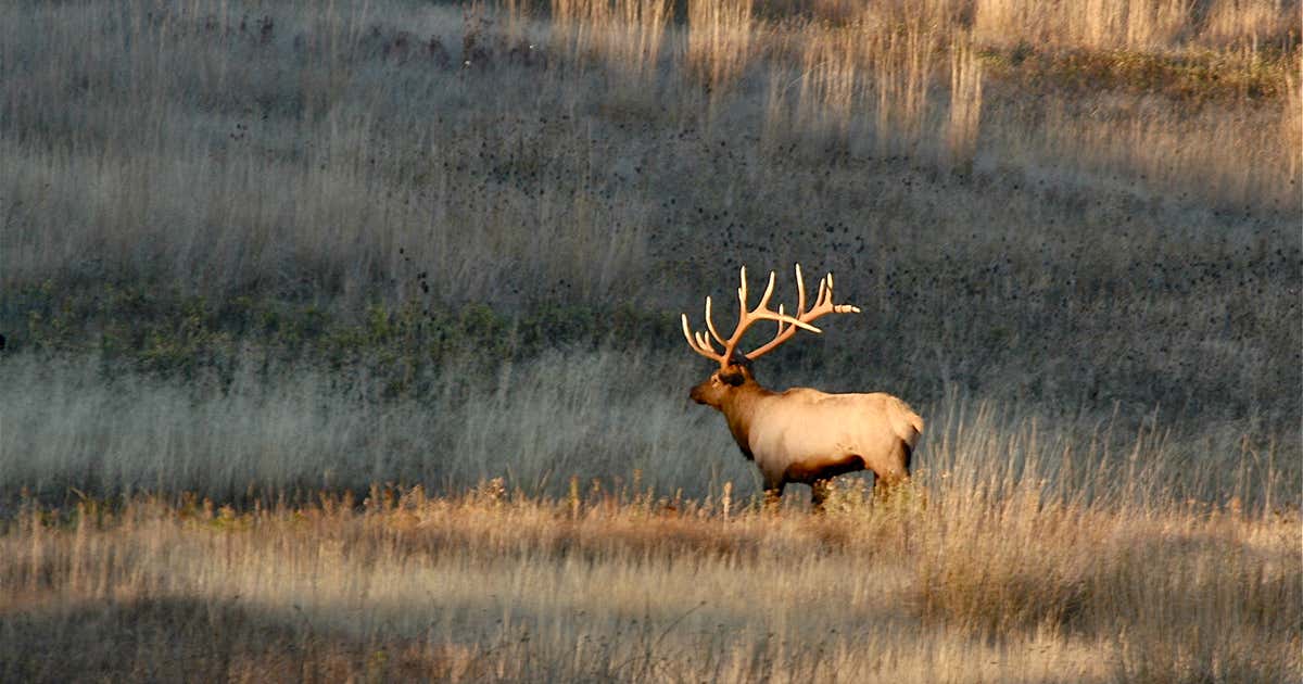 Union County State Fish & Wildlife Area, Jonesboro Roadtrippers