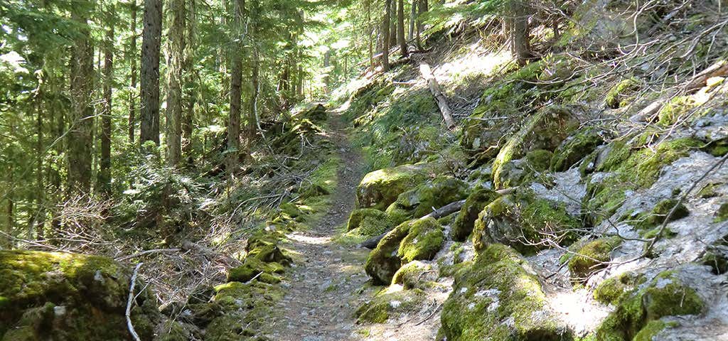 Photo of Catalpa Lake Trail