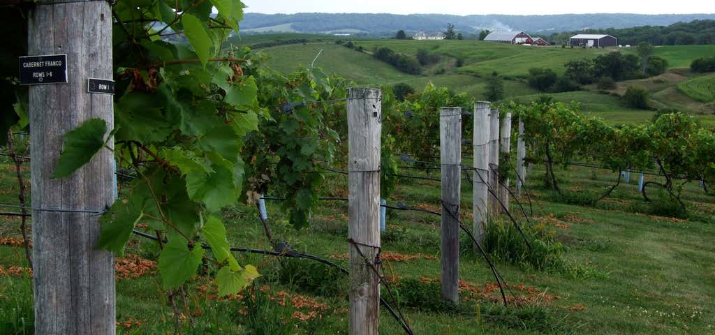 Photo of Bommarito Estate Almond Tree Winery
