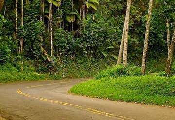 Photo of Pepeʻekeo Scenic Drive