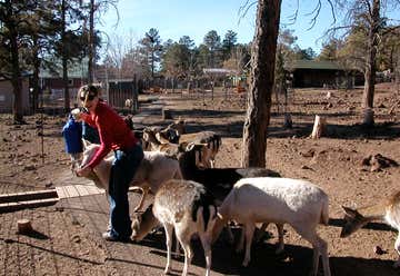 Photo of Grand Canyon Deer Farm