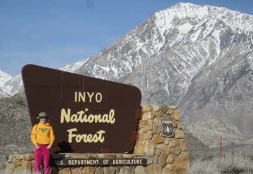 Photo of Inyo National Forest