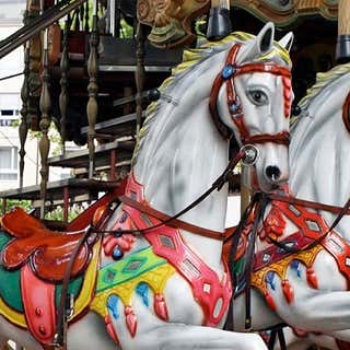 Broome County Carousels
