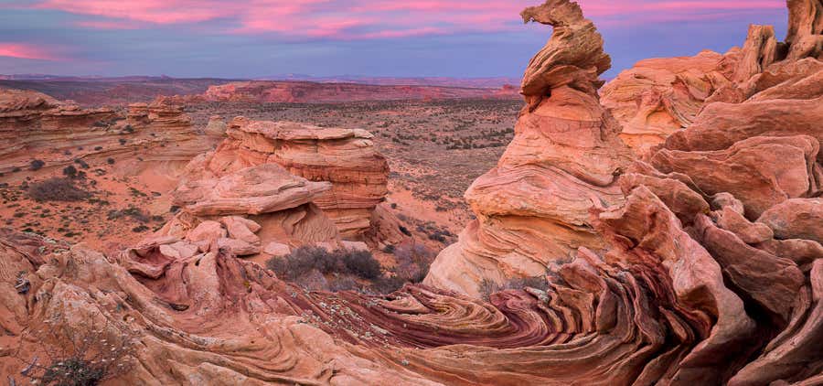 Photo of South Coyote Buttes