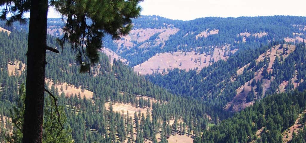 Photo of Copple Butte Trail