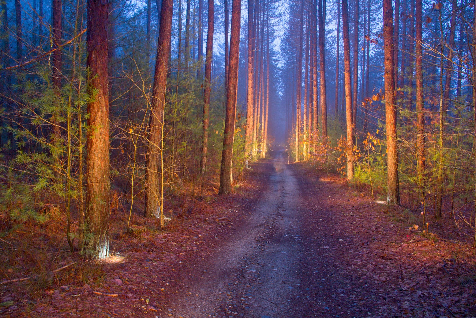 Bear Brook State Park
