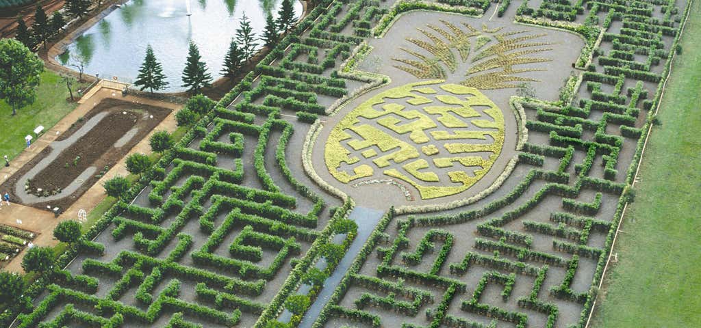 Photo of Worlds Largest Hedge Maze