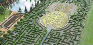 Worlds Largest Hedge Maze