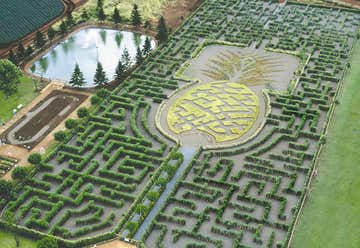 Photo of Worlds Largest Hedge Maze