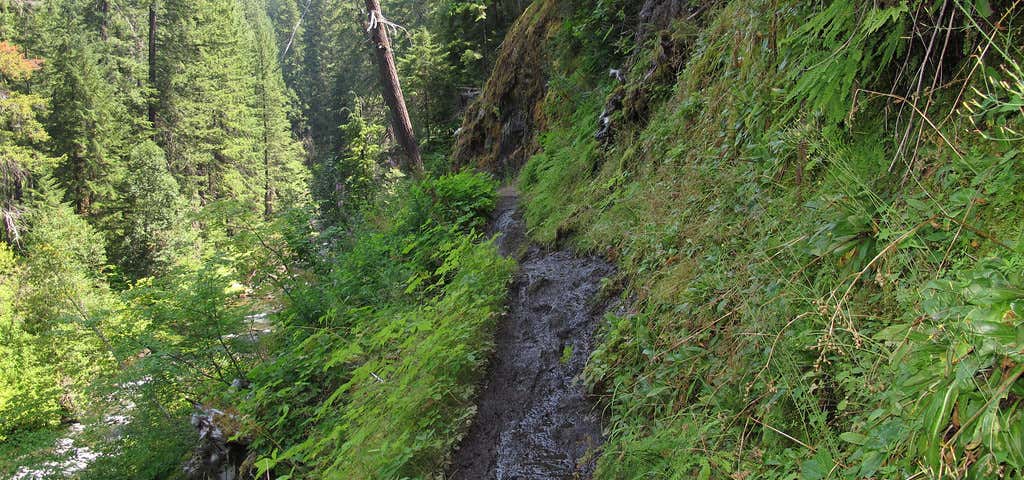 Photo of North Umpqua Trail (Lemolo Segment)