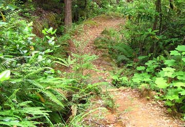 Photo of Myrtle Creek Trail