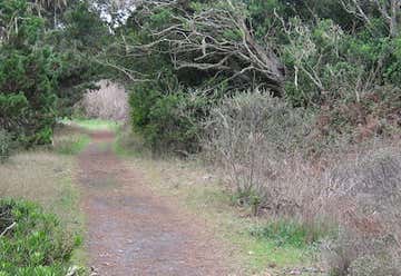 Photo of Waxmyrtle Trail