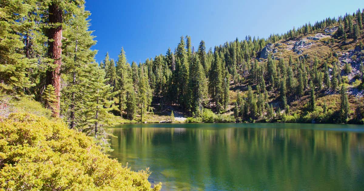 Whitehorse Campground, Quincy Roadtrippers