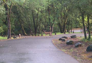 Photo of Loafer Creek Campground