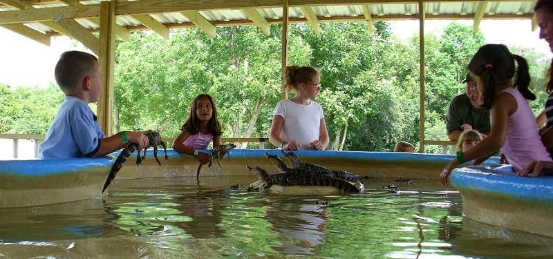 Photo of Insta-Gator Alligator Ranch & Hatchery