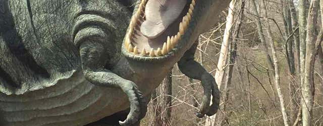 Dinosaur Place At Nature's Art