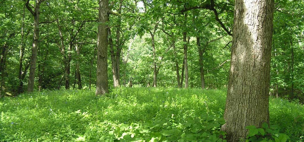 Photo of Pershing State Park