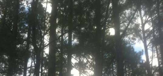 Photo of Singing Pines Primitive Living Llc