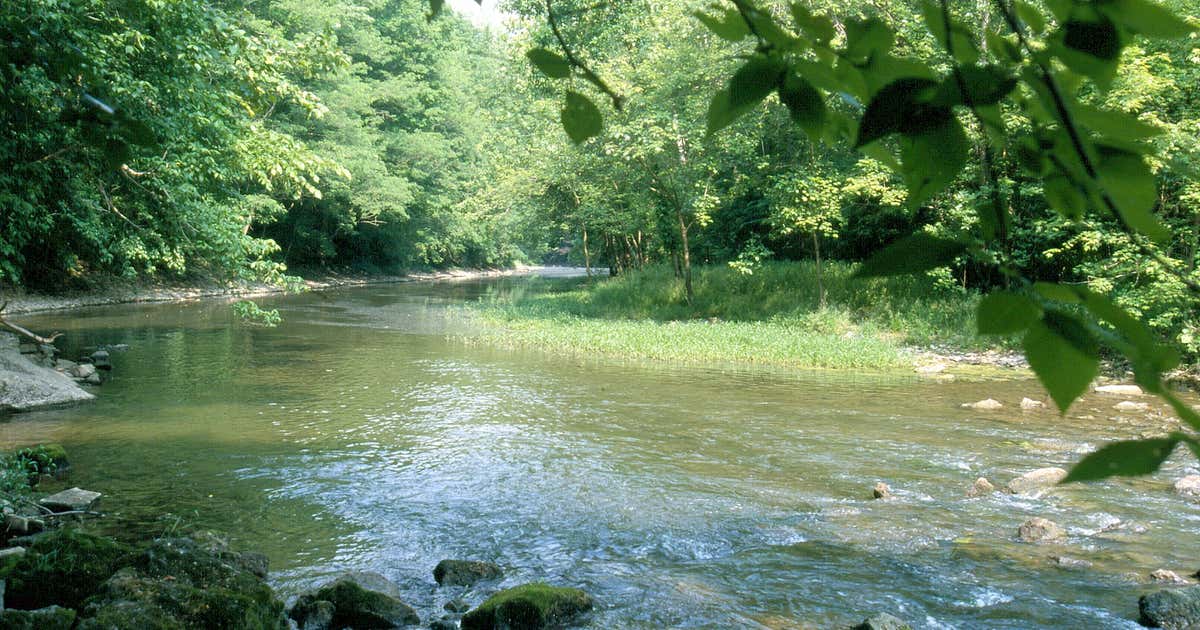 Eagle Creek Nature Preserve, Garrettsville Roadtrippers
