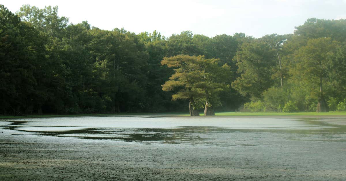 White River National Wildlife Refuge, St. Charles Roadtrippers