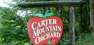 Carter Mountain Orchard