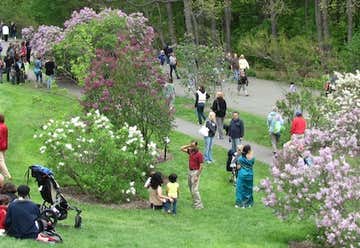 Photo of The Arnold Arboretum of Harvard University