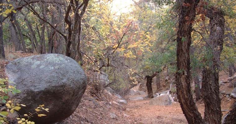 Wild Cow Springs Recreation Site, Kingman Roadtrippers
