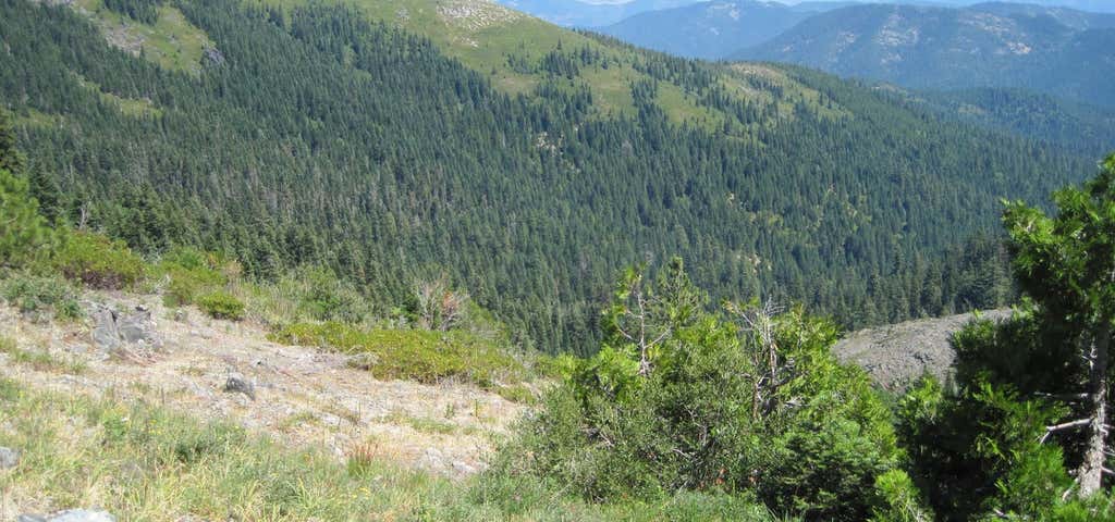 Photo of Glade Creek Trail