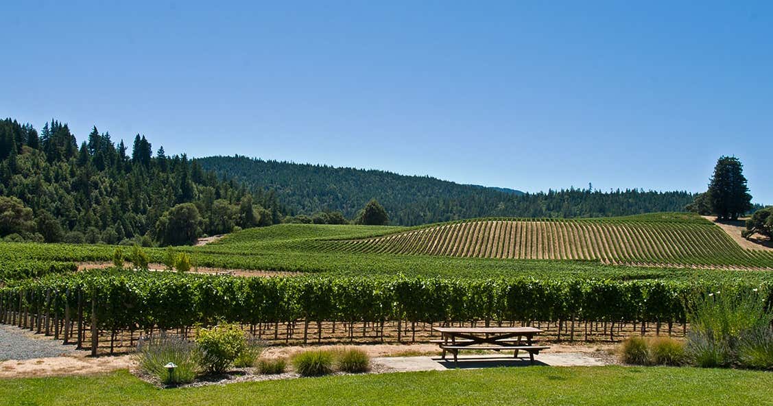 Confluence Vineyards & Winery, Ridgefield Roadtrippers