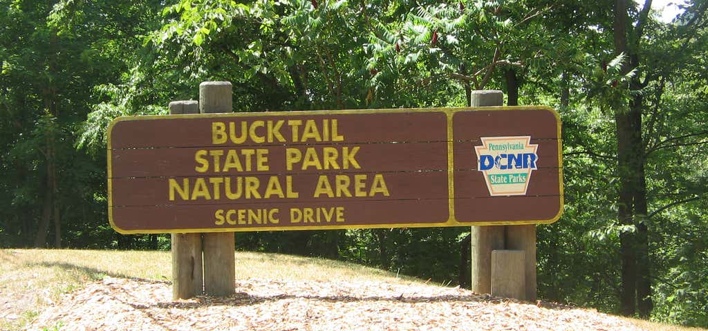 Photo of Bucktail State Park Natural Area