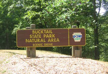 Photo of Bucktail State Park Natural Area