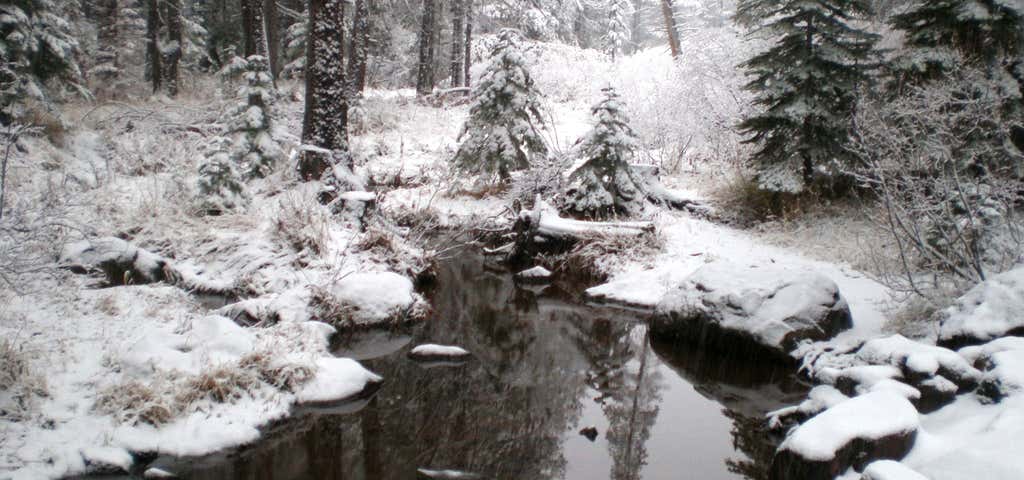 Photo of Trout Creek
