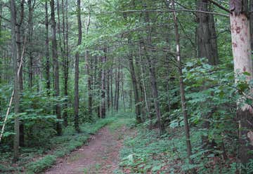 Photo of Boyd Big Tree Conservation Area State Park