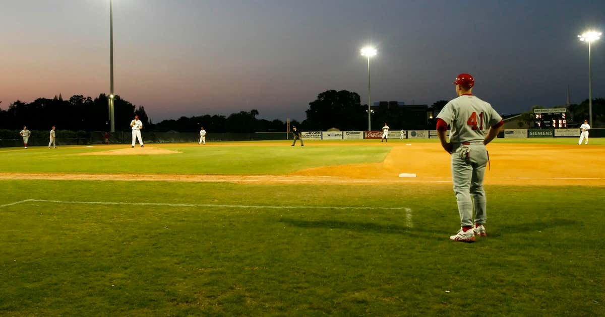 Twin Lakes Park Sarasota: Why Locals Love This Spot (And What to Know Before You Go)
