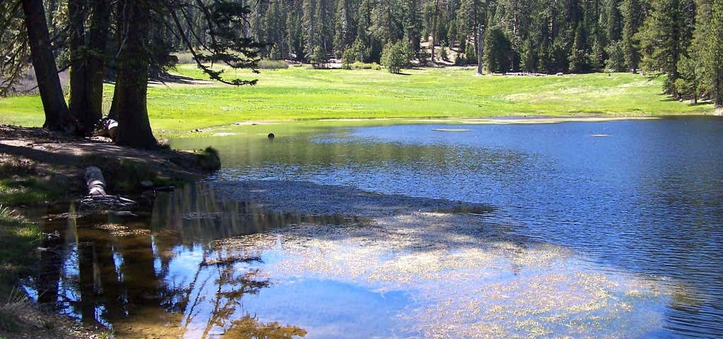 Photo of Plaskett Meadows Campground