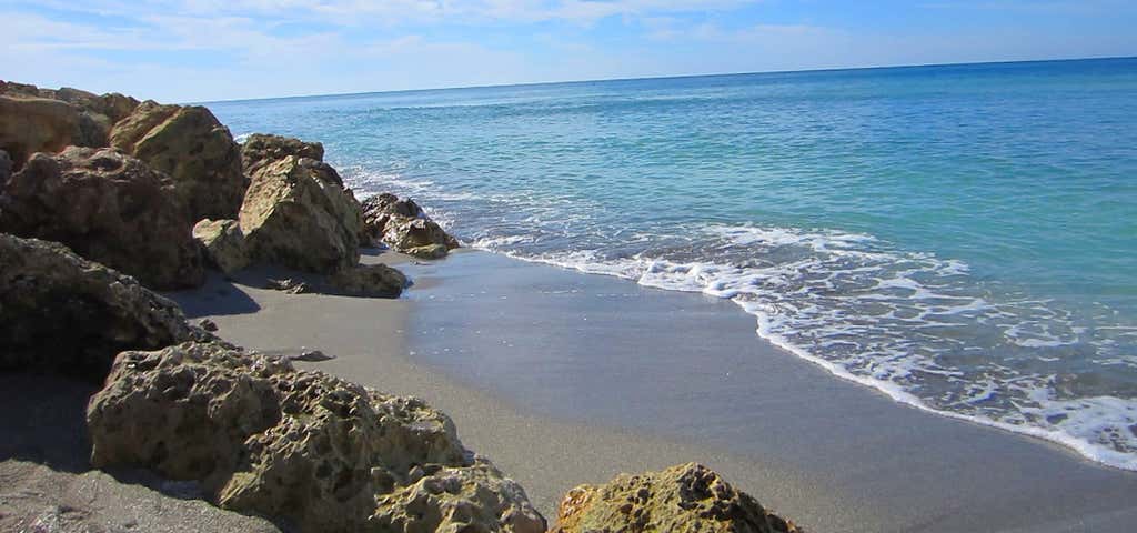 Photo of Turtle Beach