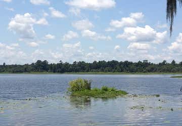 Photo of Moody Afb Grassy Pond