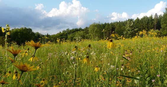 Kettle Moraine Scenic Drive, Hartford Roadtrippers